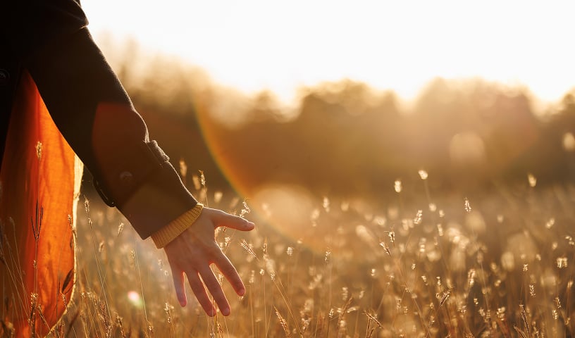 A woman's hand grazes the top of tall grass in a country field.